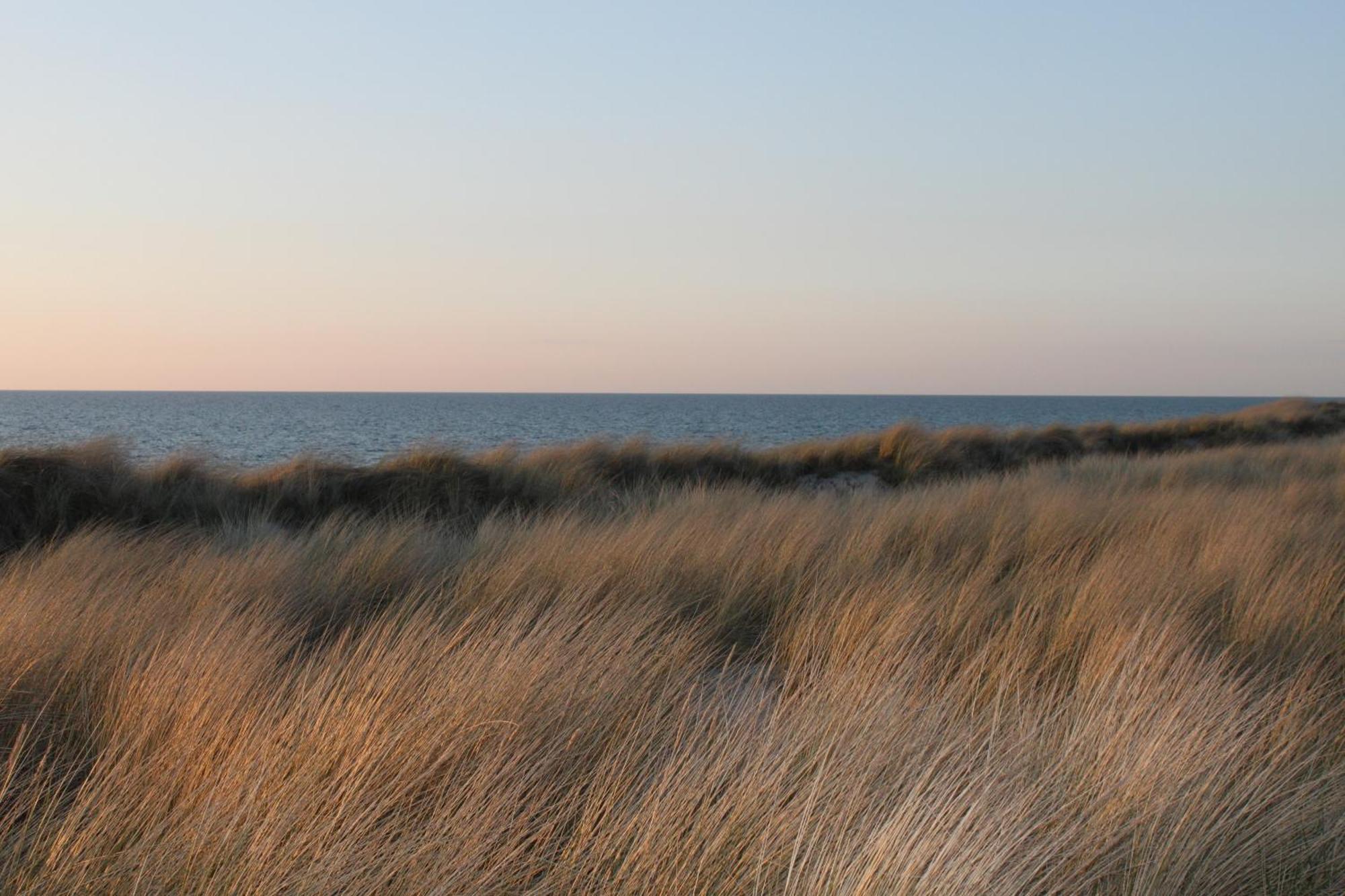 -"Strandhaus Friedrich"- Dierhagen Luaran gambar