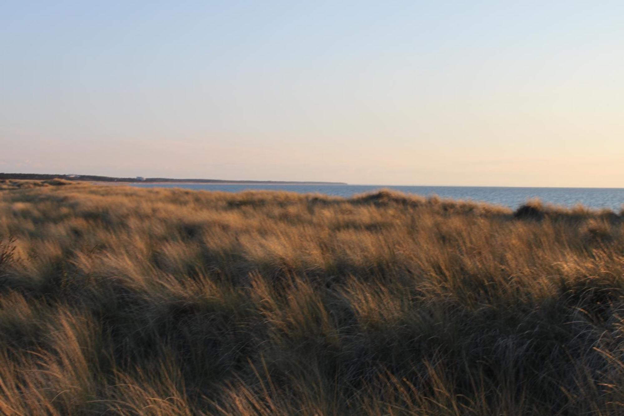 -"Strandhaus Friedrich"- Dierhagen Luaran gambar